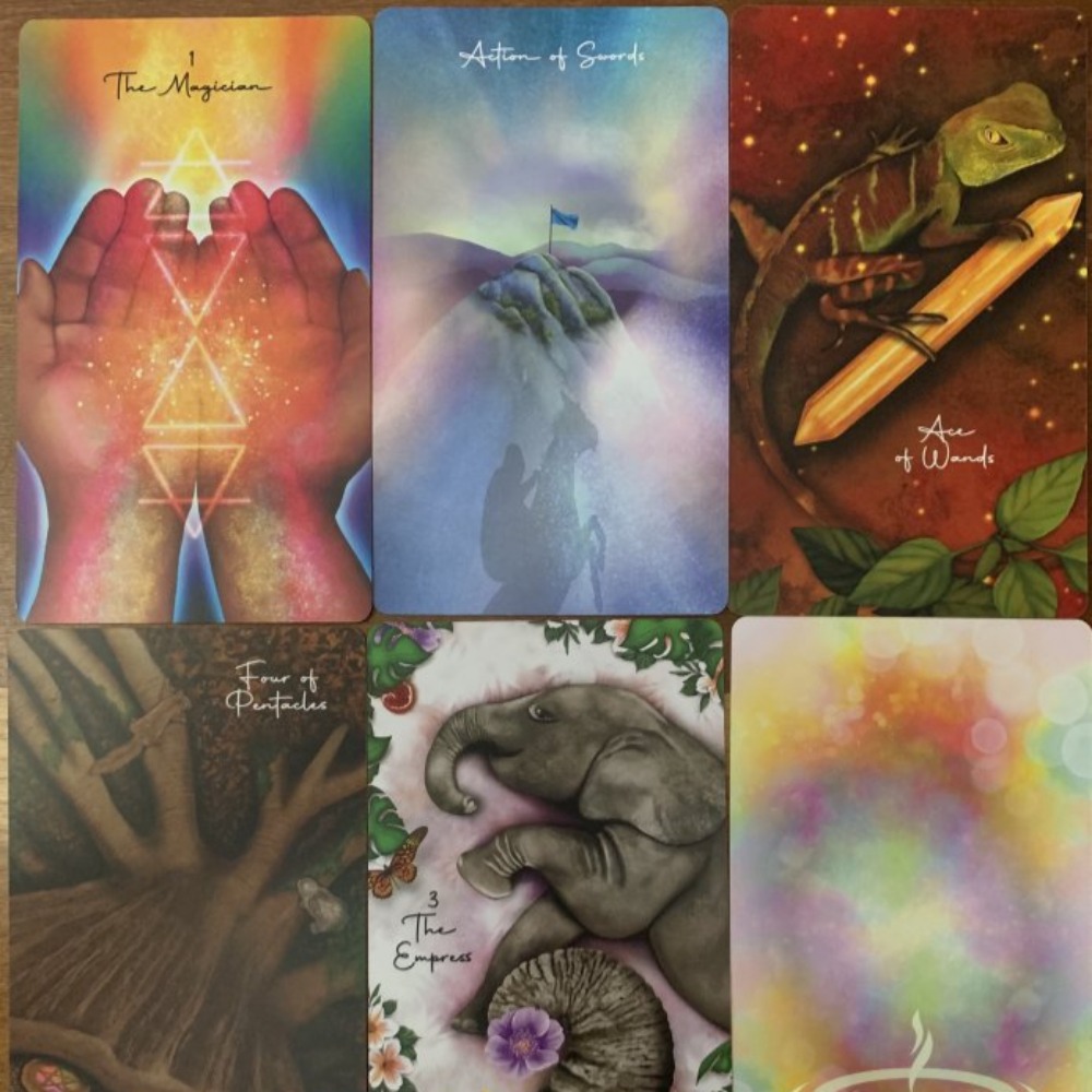 運命のタロット,10.3x6 cm, 78枚,神聖な指導と抱 - Tarot Deck With Guidebook のレビューと価格